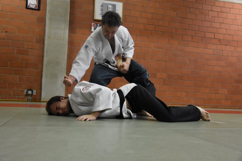 technique tai jitsu